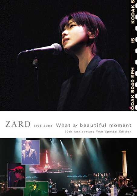 ZARD：What a beautiful moment Tour