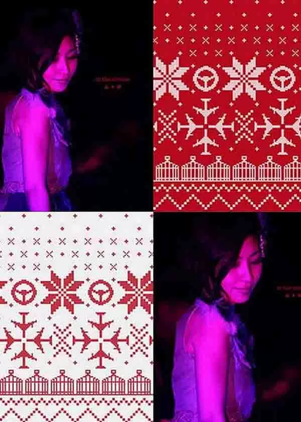 坂本真绫 2011演唱会