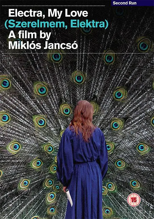 厄勒克特拉，我的爱