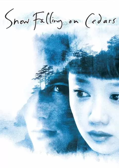 落在香杉树的雪花