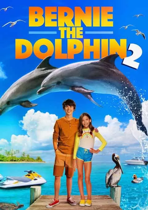 海豚伯尼2